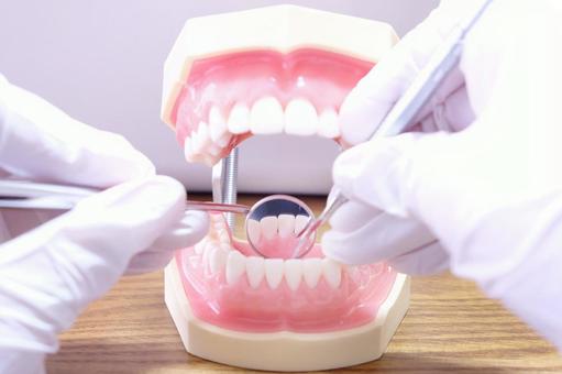 船堀の歯医者で予防歯科